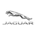 Jaguar.jpg