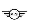 Mini.jpg
